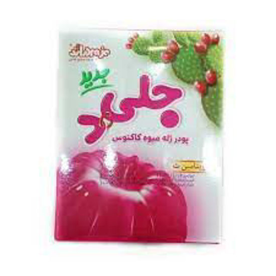 تصویر از دراژه پودر ژله کاکتوس 100