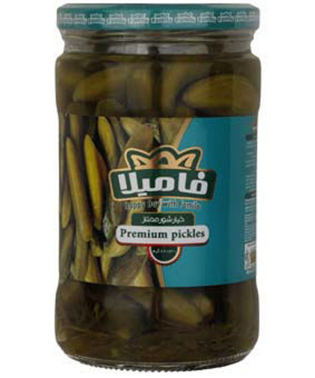 تصویر از فامیلا خیارشور ممتاز 660گ