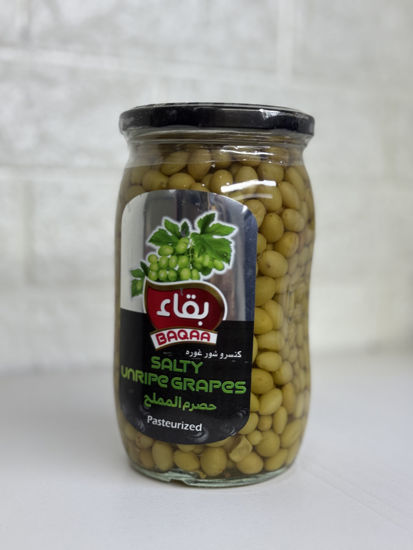 تصویر از بقاء کنسرو شور غوره 580گ