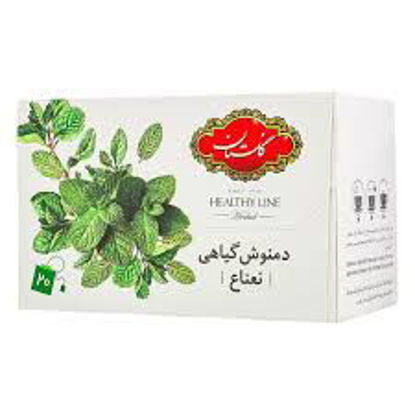 تصویر از گلستان دمنوش گیاهی نعناع کیسه ای 20ع