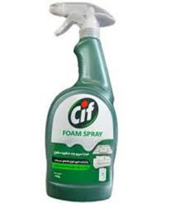 تصویر از سیف فوم اسپری لکه بر چند منظوره 750گ