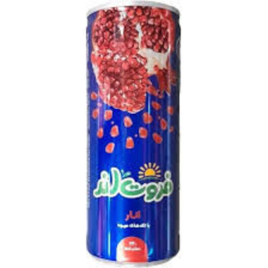 تصویر از میهن فروت لند نوشیدنی انار قوطی 240م
