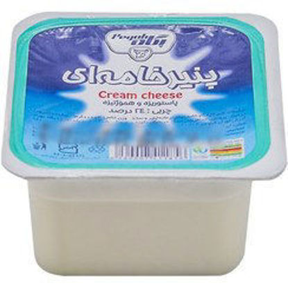 تصویر از پگاه پنیر خامه ای 100گ