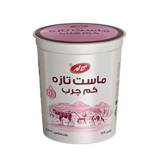 تصویر از کاله ماست تابستان کم چرب900گ