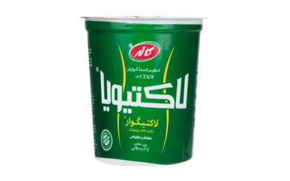 تصویر از کاله ماست لاکتیویا 900گ