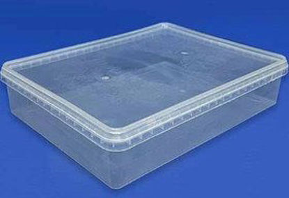 تصویر از ظرف فریزری و ماکروفر درب دار بزرگ