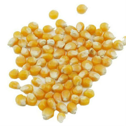 تصویر از ذرت پاپ کرن فله خارجی