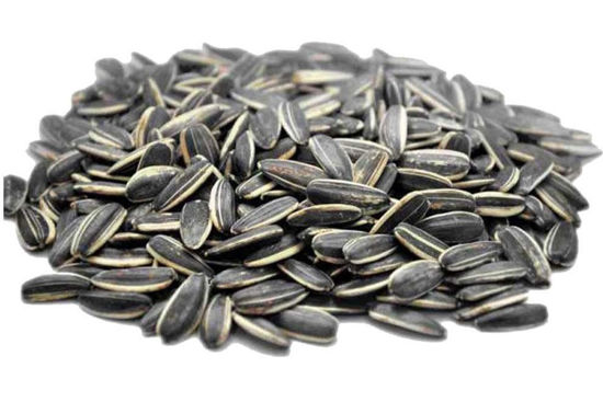 تصویر از تخمه چینی فله